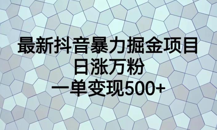 最新抖音暴力掘金项目，日涨万粉，一单变现500+【揭秘】-大兵轻创资源库