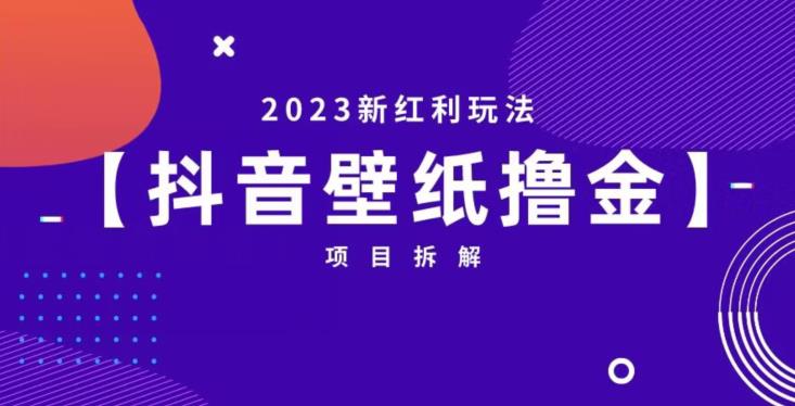 抖音壁纸小程序创作者撸金项目，2023新红利玩法【项目拆解】-大兵轻创资源库