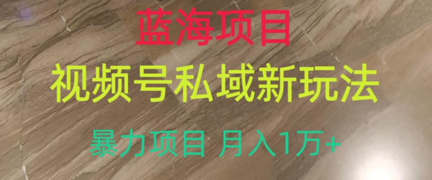 蓝海项目，视频号私域新玩法，暴力项目月入1万+【揭秘】-大兵轻创资源库