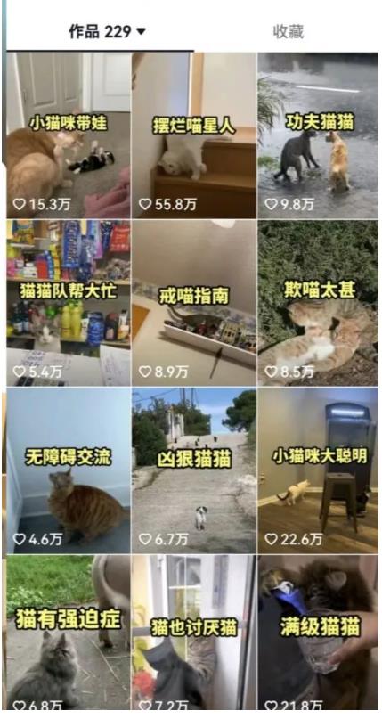 拆解：抖音盘点类中视频变现副业项目，视频版一条龙大解析分享给你-大兵轻创资源库