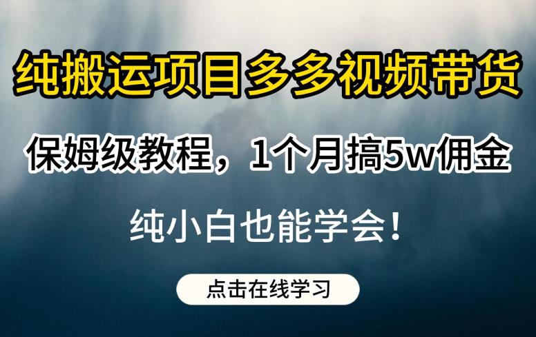 纯搬运项目多多视频带货保姆级教程，1个月搞5w佣金，纯小白也能学会【揭秘】-大兵轻创资源库