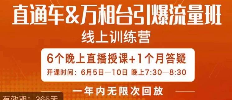 直通车&万相台引爆流量班，6天打通你开直通车·万相台的任督二脉-大兵轻创资源库