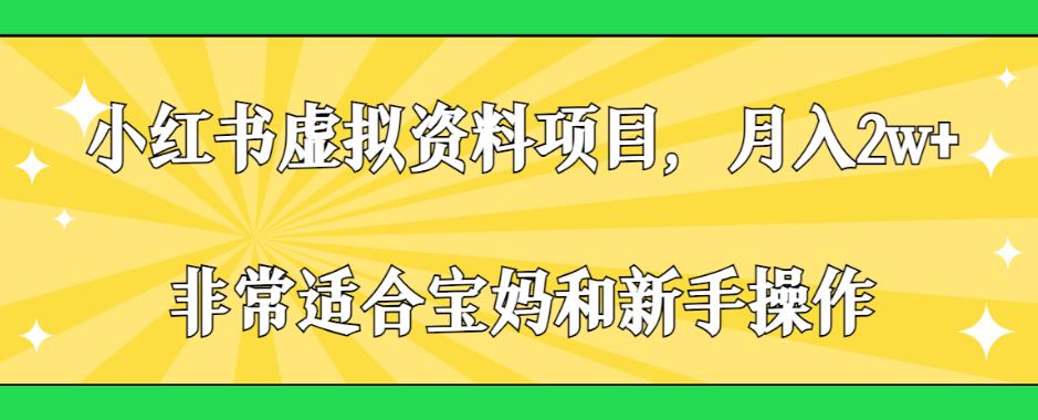 小红书虚拟资料项目，月入2w+，非常适合宝妈和新手操作【揭秘】-大兵轻创资源库