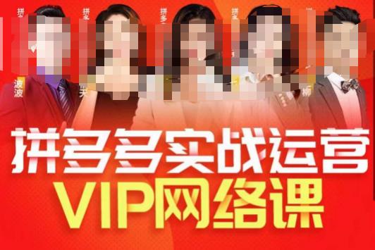 推易拼多多VIP全套直播课程，拼多多店铺实操玩法+实战玩法选款内功+直通车高阶等-大兵轻创资源库