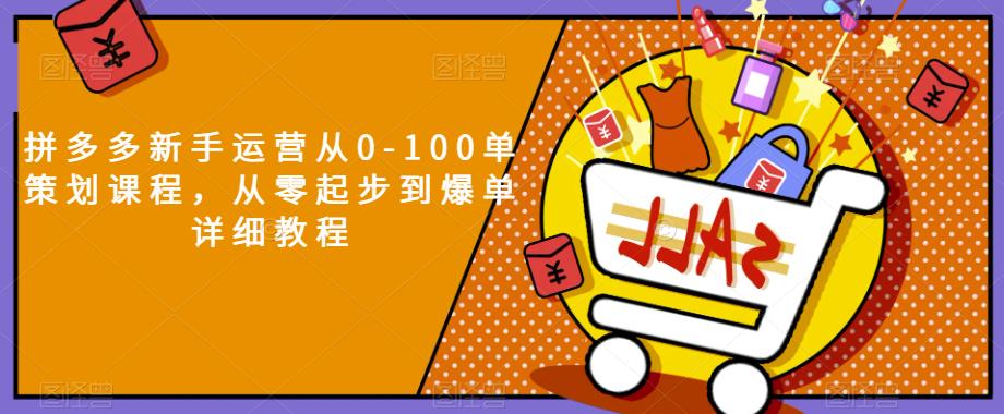 拼多多新手运营从0-100单策划课程，从零起步到爆单详细教程-大兵轻创资源库