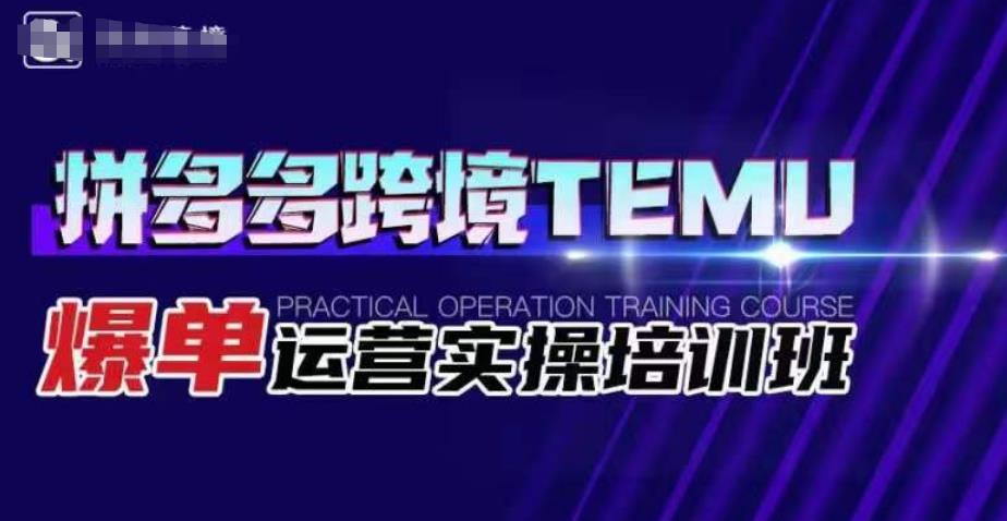 拼多多跨境TEMU爆单运营实操培训班，海外拼多多的选品、运营、爆单-大兵轻创资源库