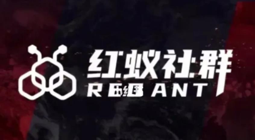 社群运营：红蚁社群【48节落地系统课程+2000人高端社群】-大兵轻创资源库