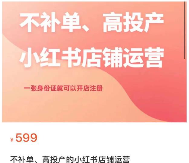 不补单、高投产的小红书店铺运营，一张身份证就可以开店注册-大兵轻创资源库