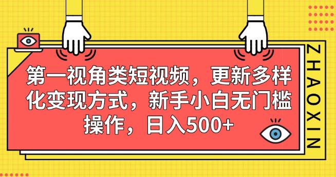 第一视角类短视频，更新多样化变现方式，新手小白无门槛操作，日入500+【揭秘】-大兵轻创资源库