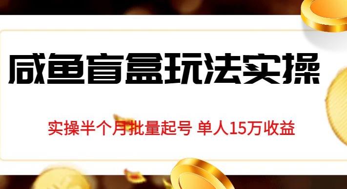 独家首发咸鱼盲盒玩法实操，半个月批量起号单人15万收益【揭秘】-大兵轻创资源库
