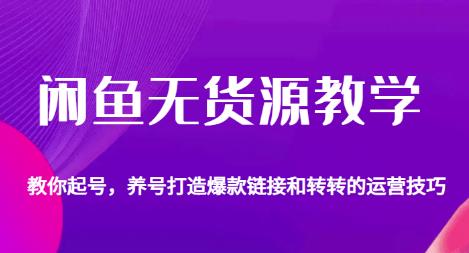 闲鱼无货源教学，教你起号，养号打造爆款链接以及转转的运营技巧-大兵轻创资源库