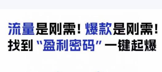 电商盈利精品课：6大盈利密码让产品更好卖，流量是刚需！爆款是刚需！找到”盈利密码”一键起爆-大兵轻创资源库