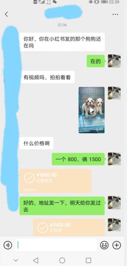 外边收费3980的同城萌宠项目，用最冷门的玩法冲击最热门的市场【揭秘】-大兵轻创资源库