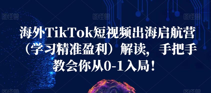 海外TikTok短视频出海启航营（学习精准盈利）解读，手把手教会你从0-1入局！-大兵轻创资源库