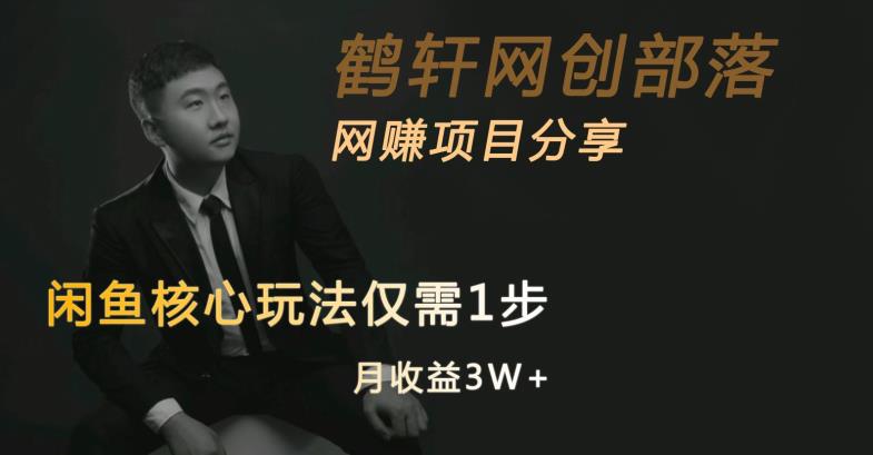 闲鱼核心玩法不卖货也能1年变现20W，玩法简单-大兵轻创资源库