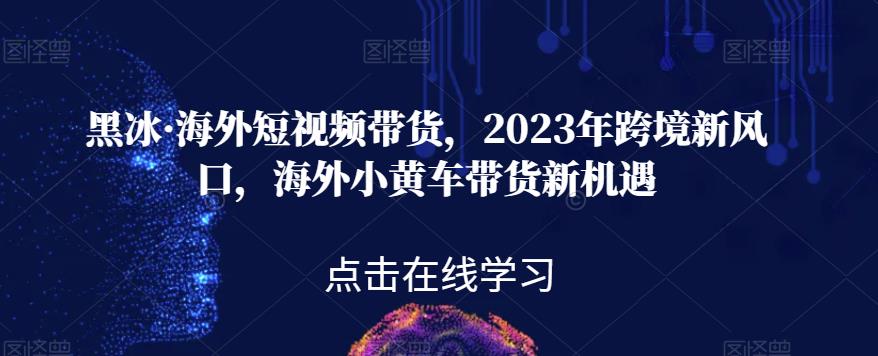 黑冰·海外短视频带货，2023年跨境新风口，海外小黄车带货新机遇-大兵轻创资源库