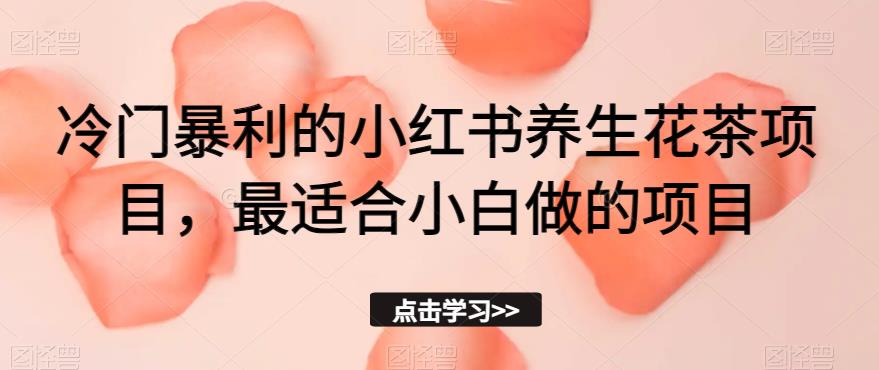 冷门暴利的小红书养生花茶项目，最适合小白做的项目【揭秘】-大兵轻创资源库