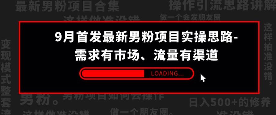 9月首发最新男粉项目实操思路-需求有市场，流量有渠道【揭秘】-大兵轻创资源库