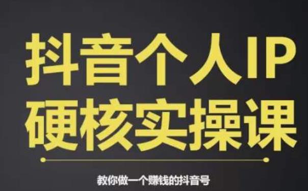 个人IP创富系统实战课，商业定位，流量打造，短视频变现，教你做个赚钱的抖音号-大兵轻创资源库