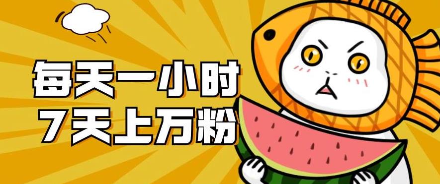 暴力涨粉项目：每天一小时，七天上万粉【揭秘】-大兵轻创资源库