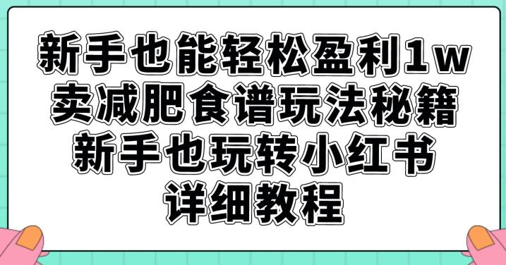 新手也能轻松盈利1w，卖减肥食谱玩法秘籍，新手也玩转小红书详细教程【揭秘】-大兵轻创资源库
