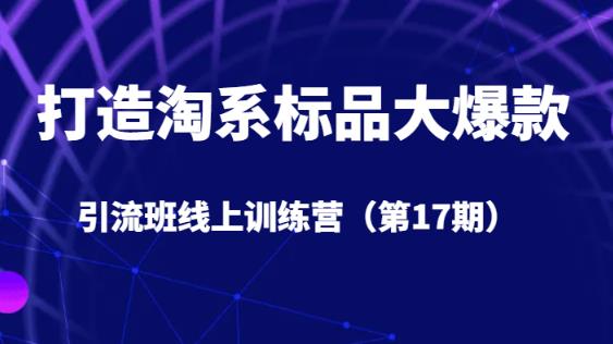 打造淘系标品大爆款引流班线上训练营（第17期）5天直播授课-大兵轻创资源库