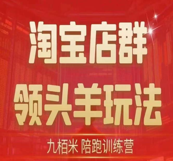九栢米-淘宝店群领头羊玩法，教你整个淘宝店群领头羊玩法以及精细化/终极蓝海/尾销等内容-大兵轻创资源库
