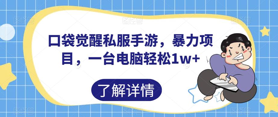 口袋觉醒私服手游，暴力项目，一台电脑轻松1w+【揭秘】-大兵轻创资源库