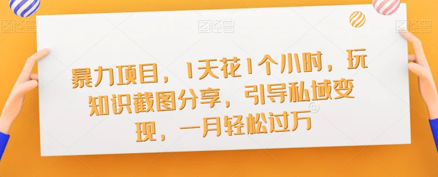 暴力项目，1天花1个小时，玩知识截图分享，引导私域变现，一月轻松过万【截图】-大兵轻创资源库