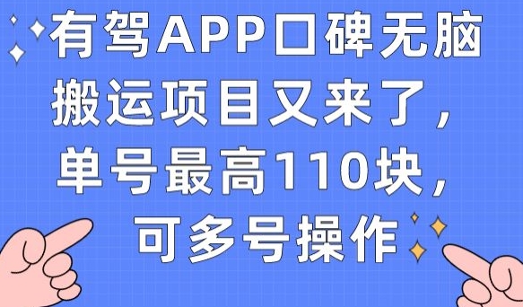 有驾APP口碑无脑搬运项目又来了，单号最高110块，可多号操作-大兵轻创资源库