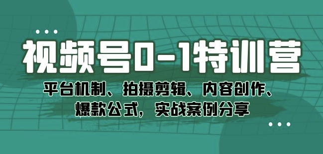 视频号0-1特训营：平台机制、拍摄剪辑、内容创作、爆款公式，实战案例分享-大兵轻创资源库