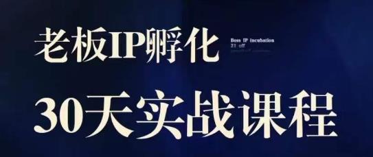 诸葛·2023老板IP实战课，实体同城引流获客，IP孵化必听-大兵轻创资源库