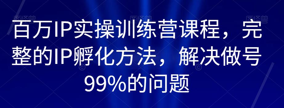 百万IP实操训练营课程，完整的IP孵化方法，解决做号99%的问题-大兵轻创资源库