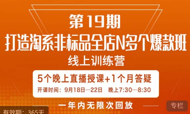 打造淘系非标全店N多个爆款线上课，​5天直播课-大兵轻创资源库