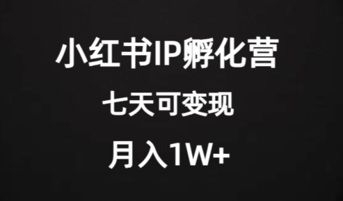 价值2000+的小红书IP孵化营项目，超级大蓝海，七天即可开始变现，稳定月入1W+-大兵轻创资源库