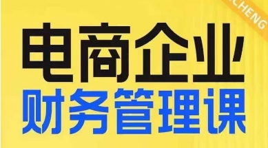 电商企业财务管理线上课，为电商企业规划财税-大兵轻创资源库