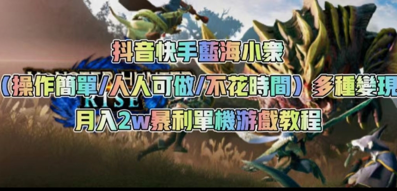 抖音快手蓝海小众（操作简单人人可做不花时间）多种变现月入2w＋暴利单机游戏教程-大兵轻创资源库