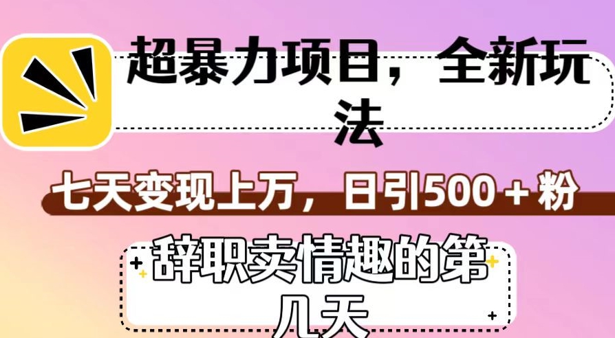 超暴利项目，全新玩法（辞职卖情趣的第几天），七天变现上万，日引500+粉【揭秘】-大兵轻创资源库