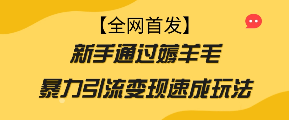 【全网首发】新手通过薅羊毛暴力引流变现速成玩法-大兵轻创资源库