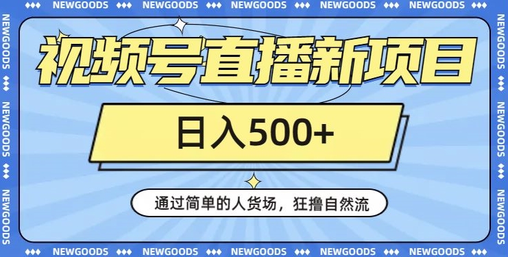 视频号直播新项目，通过简单的人货场，狂撸自然流，日入500+【260G资料】-大兵轻创资源库