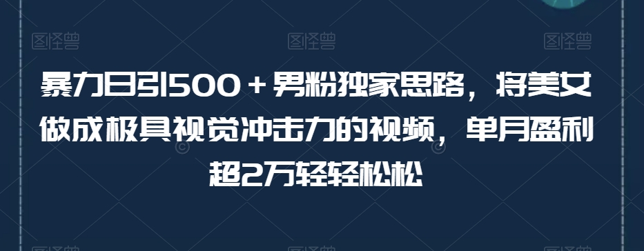 暴力日引500＋男粉独家思路，将美女做成极具视觉冲击力的视频，单月盈利超2万轻轻松松-大兵轻创资源库