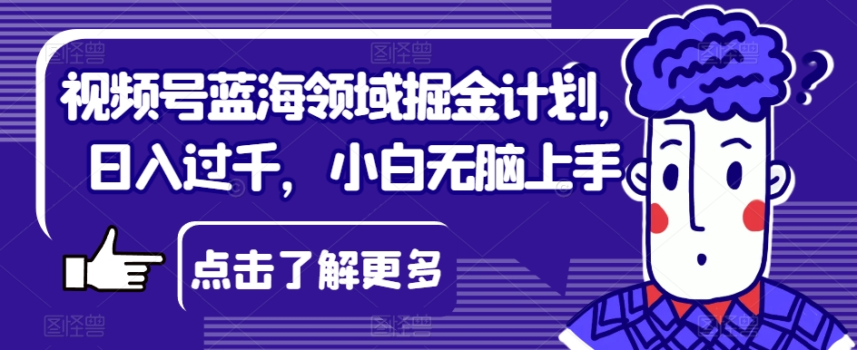 视频号蓝海领域掘金计划，日入过千，小白无脑上手【揭秘】-大兵轻创资源库