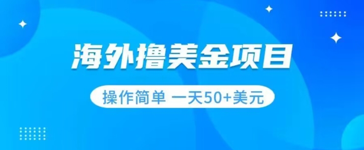 撸美金项目无门槛操作简单小白一天50+美刀-大兵轻创资源库