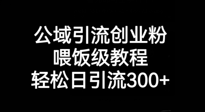 公域引流创业粉，喂饭级教程，轻松日引流300+【揭秘】-大兵轻创资源库