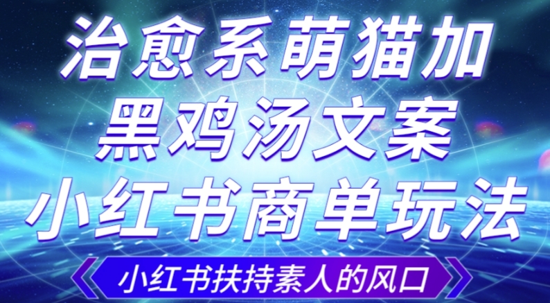 治愈系萌猫加+黑鸡汤文案，小红书商单玩法，3~10天涨到1000粉，一单200左右-大兵轻创资源库