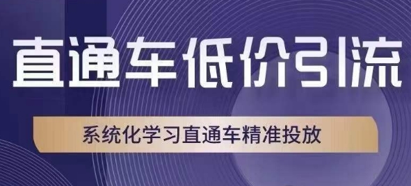 直通车低价引流课，系统化学习直通车精准投放-大兵轻创资源库