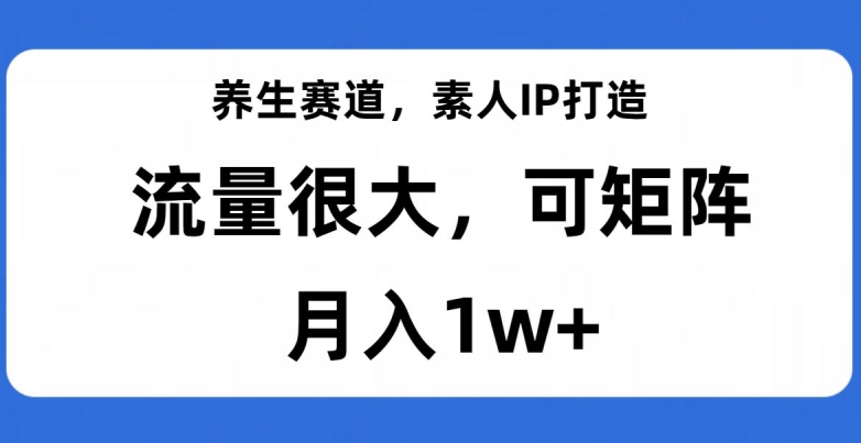 养生赛道，素人IP打造，流量很大，可矩阵，月入1w+【揭秘】-大兵轻创资源库