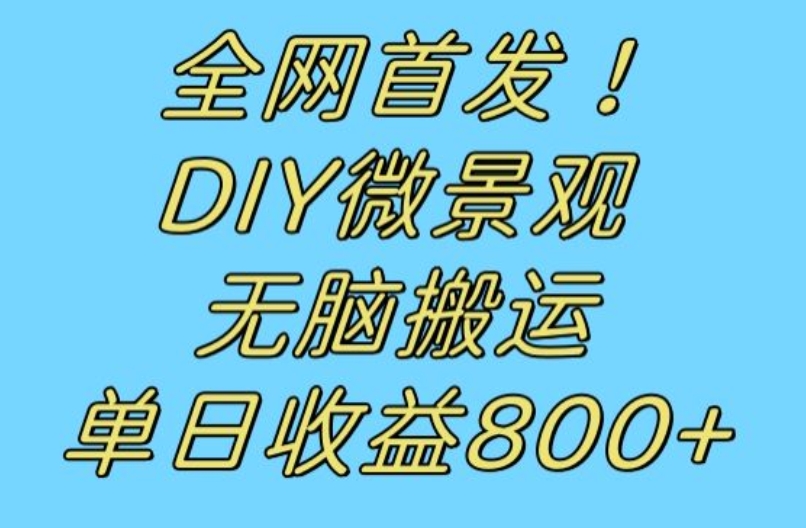 全网首发冷门赛道！DIY微景观，无脑搬运视频，日收益800+【揭秘】-大兵轻创资源库