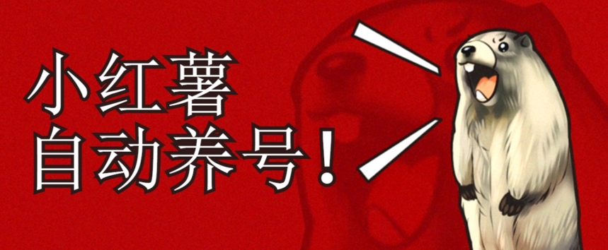 小红书养号秘籍，如何自动涨粉清晰系统标签打造高权重账号【揭秘】-大兵轻创资源库