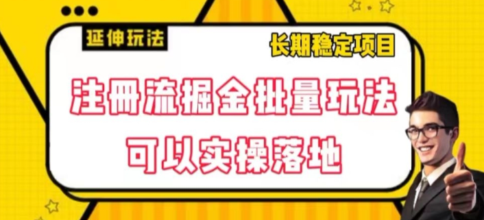 注册流掘金批量玩法，可以实操落地【揭秘】-大兵轻创资源库